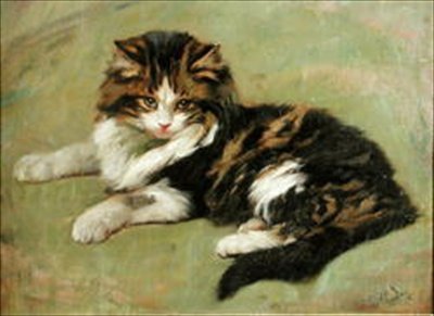 Studie av en katt (olja ombord) av Wright Barker