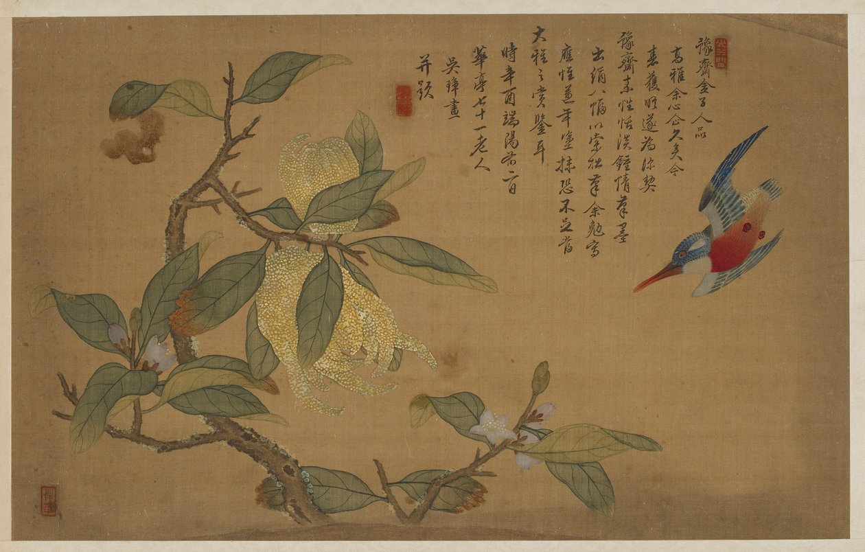 Fågel, frukt och blommor, Qingdynastin, 1741. av Wu Zhang