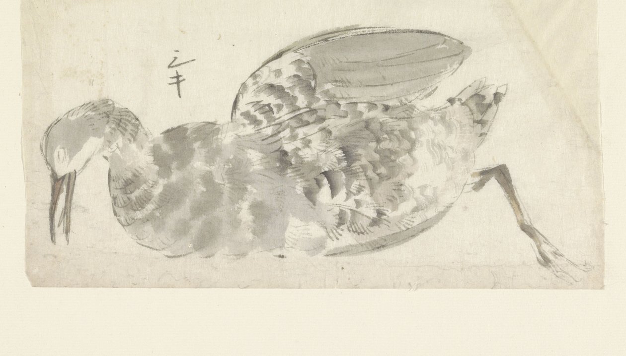 död vattenfågel av Yamamoto Shinryo Baiitsu (possibly)