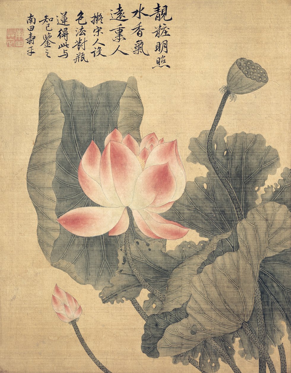 Peonies (bläck och färg på silkespapper) av Shouping Yun
