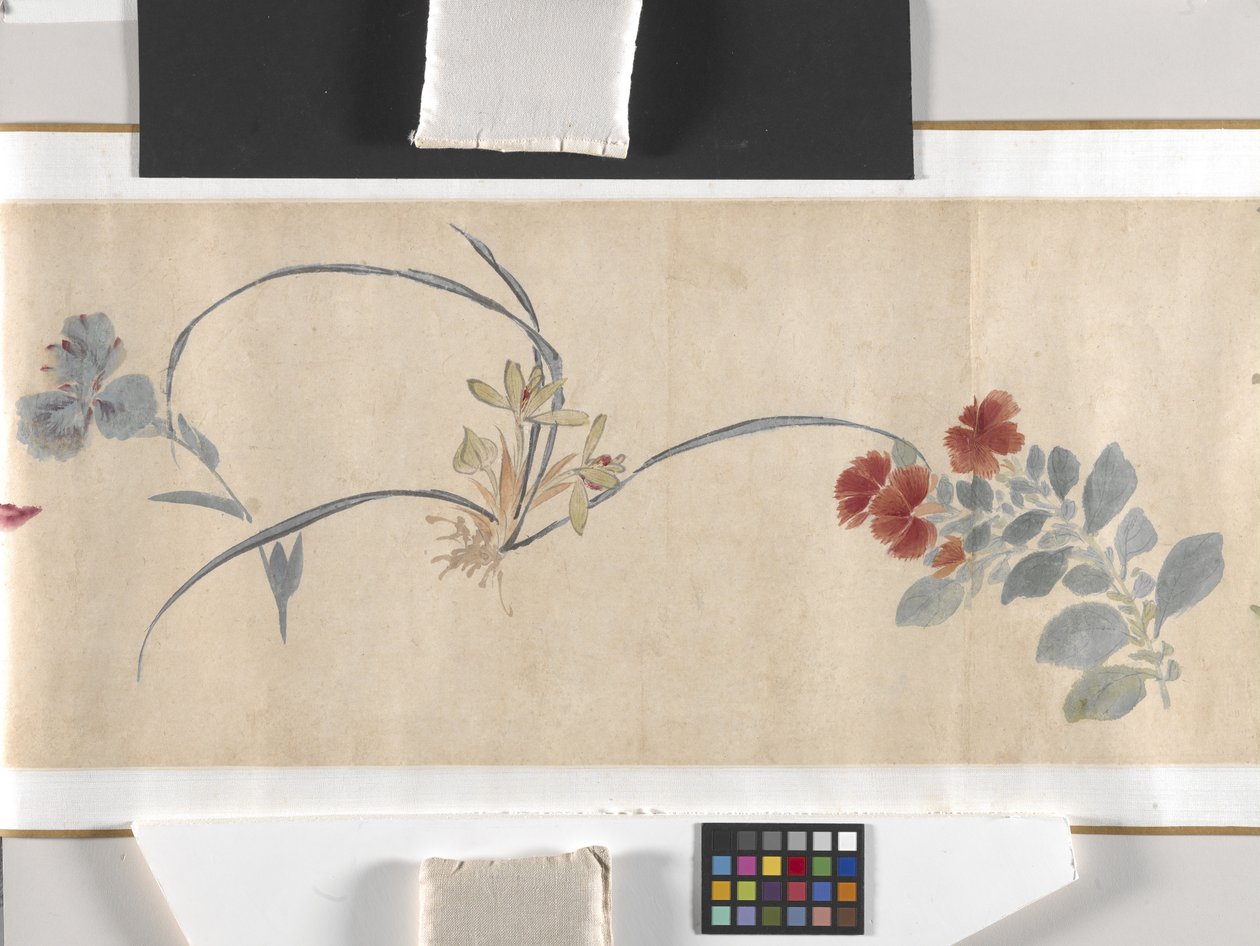 Färgade blommor av Zhimian Zhou