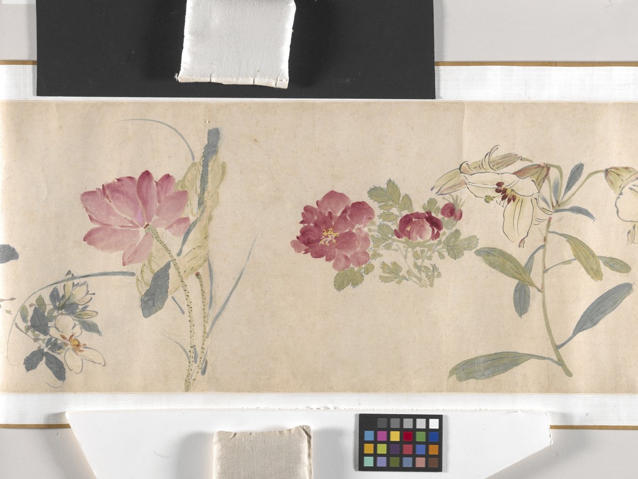 Färgade blommor av Zhimian Zhou