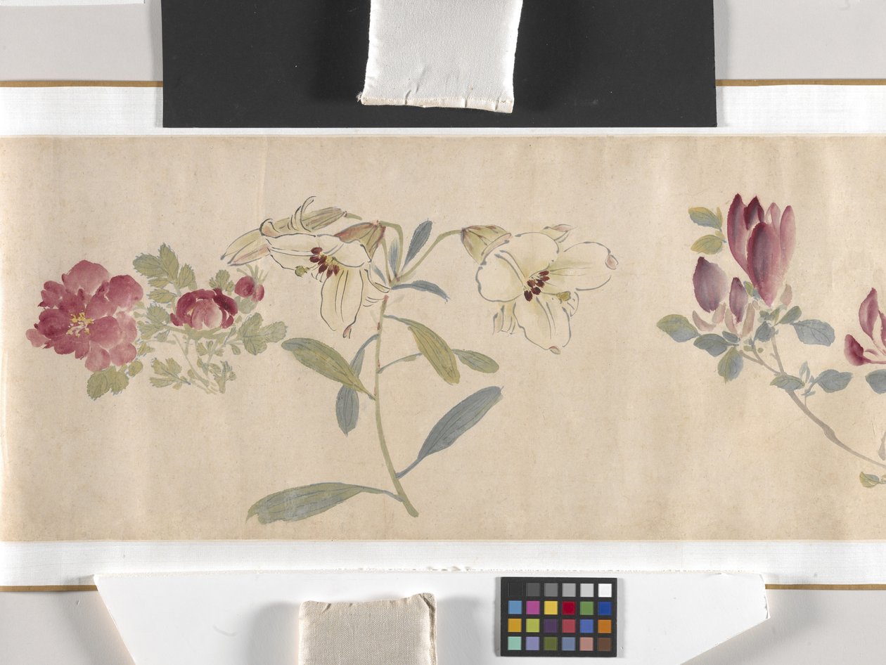 Färgade blommor av Zhimian Zhou