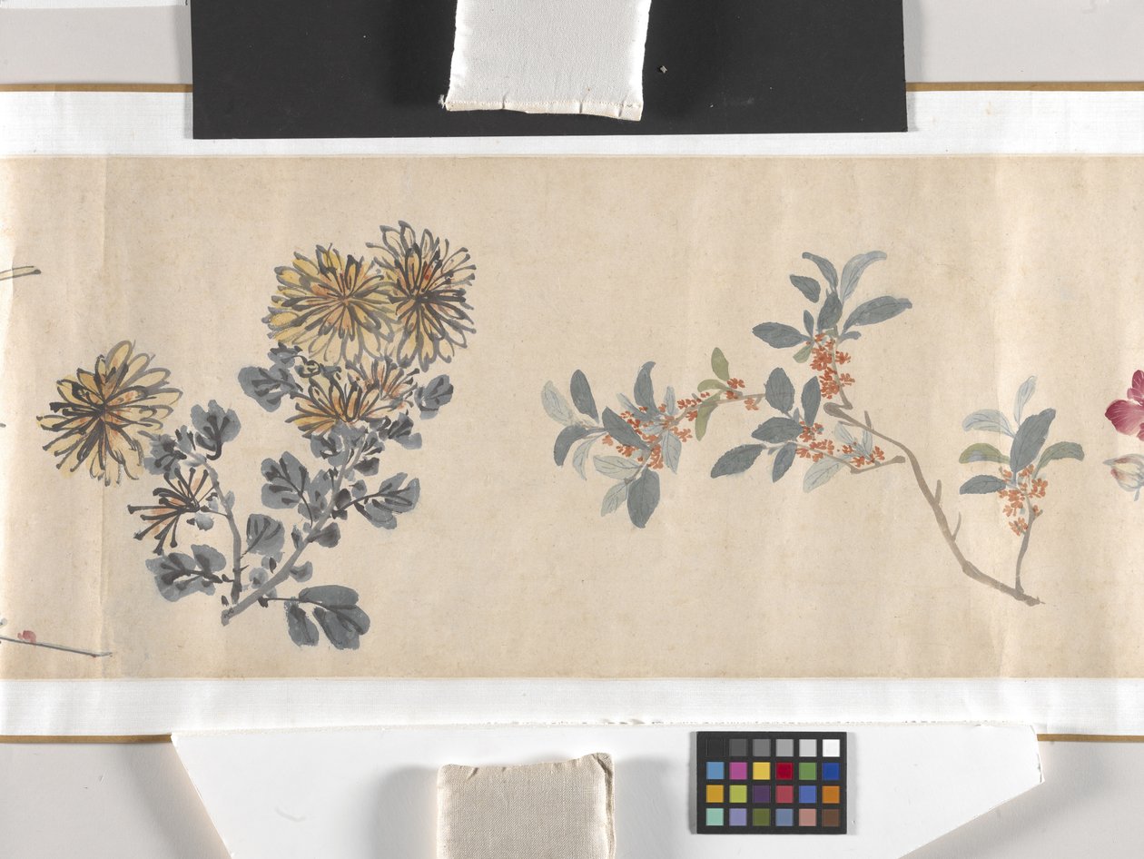 Färgade blommor av Zhimian Zhou