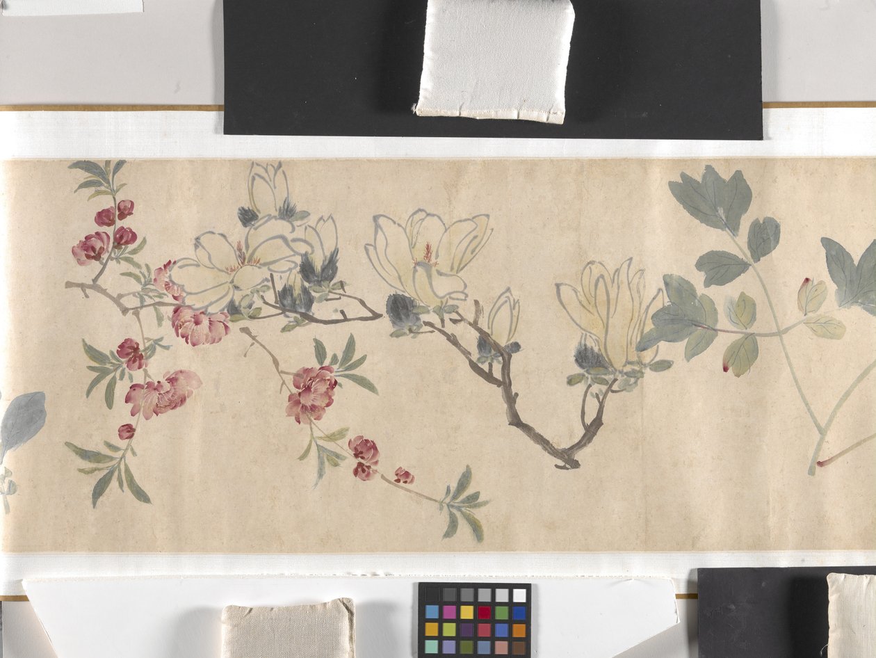 Färgade blommor av Zhimian Zhou