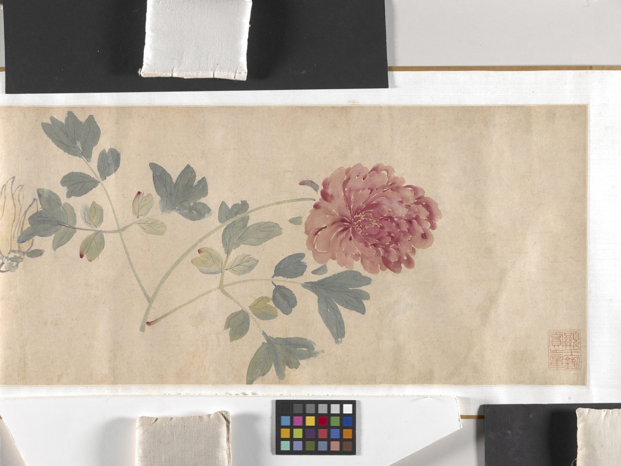 Färgade blommor av Zhimian Zhou