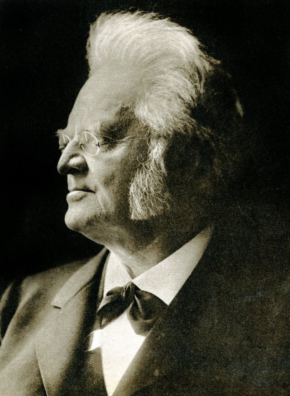 Björnstjerne Björnson (fotogravyr) av Hippolyte Lalaise Devéria
