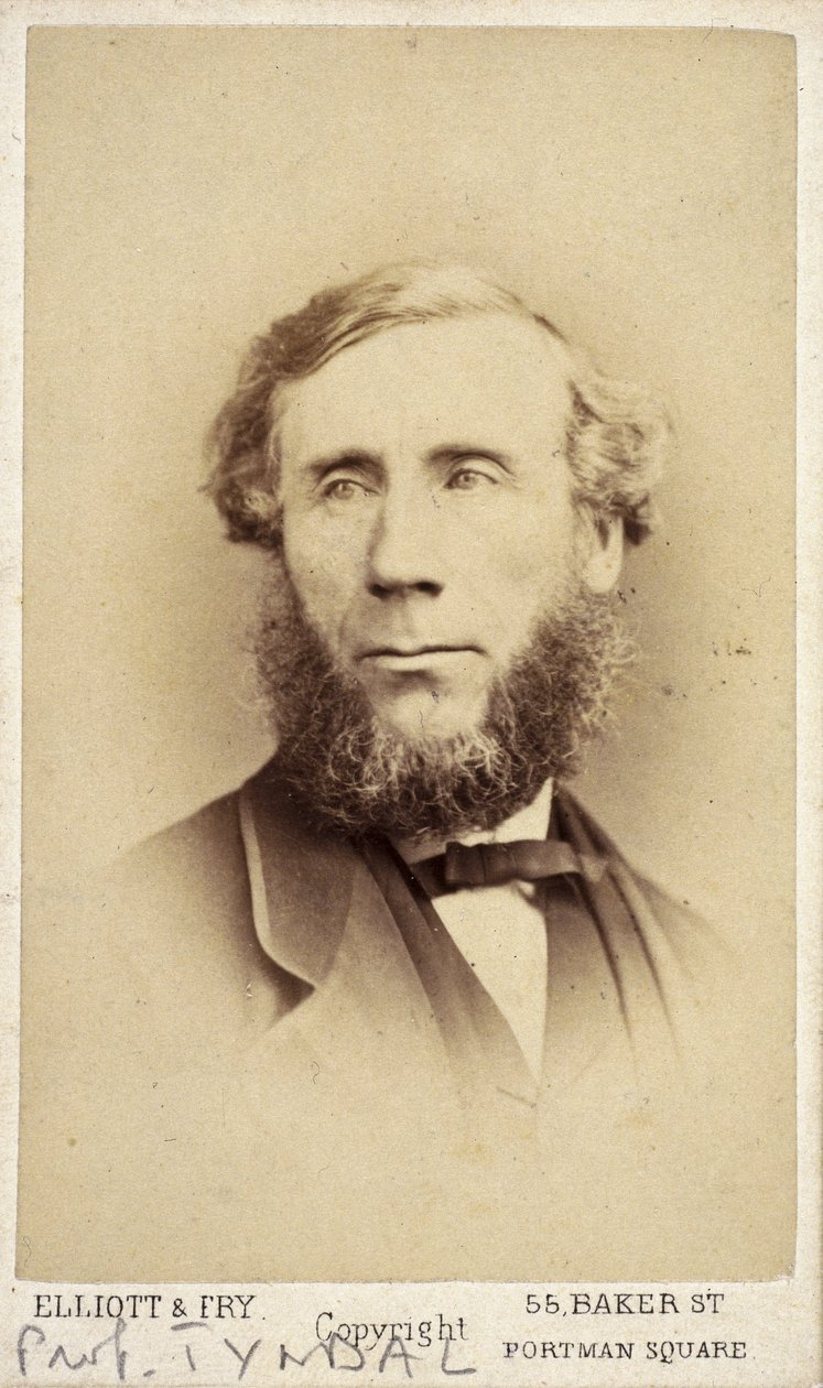 John Tyndall, irländsk fysiker, ca 1875 av Frederick (attr. to) Barnard