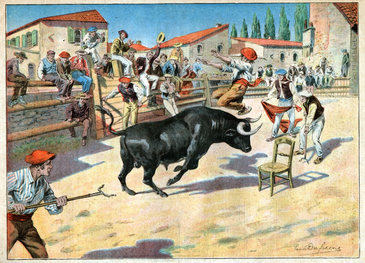 Tjurar i Camargue. Tjurfäktning i Camargue. av John Pardon
