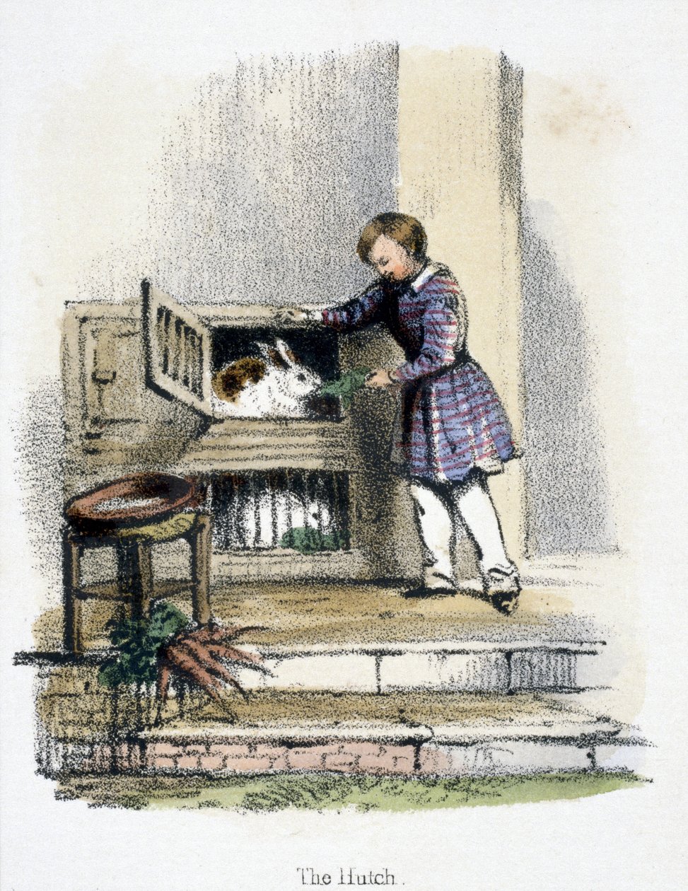 The Hutch