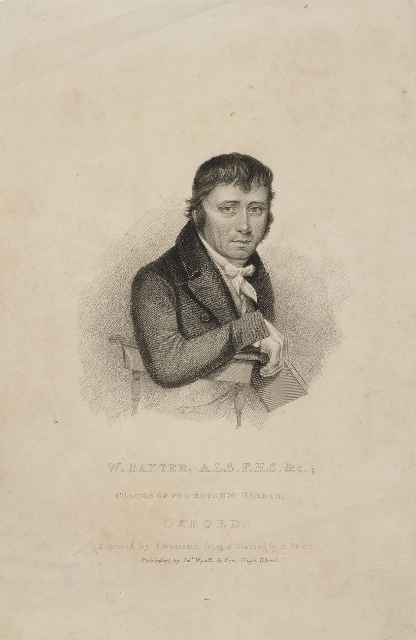 William Baxter, ALS FHS, brittisk botaniker, ca 1820-talet av Frederick (attr. to) Barnard
