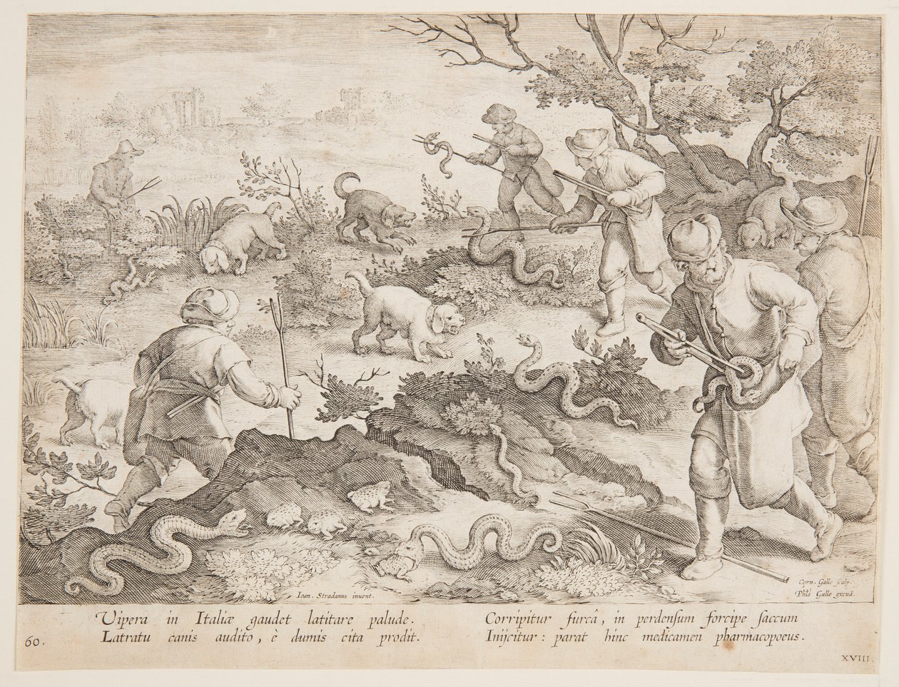 Jagar ormar av after Jan van der Straet, called Stradanus