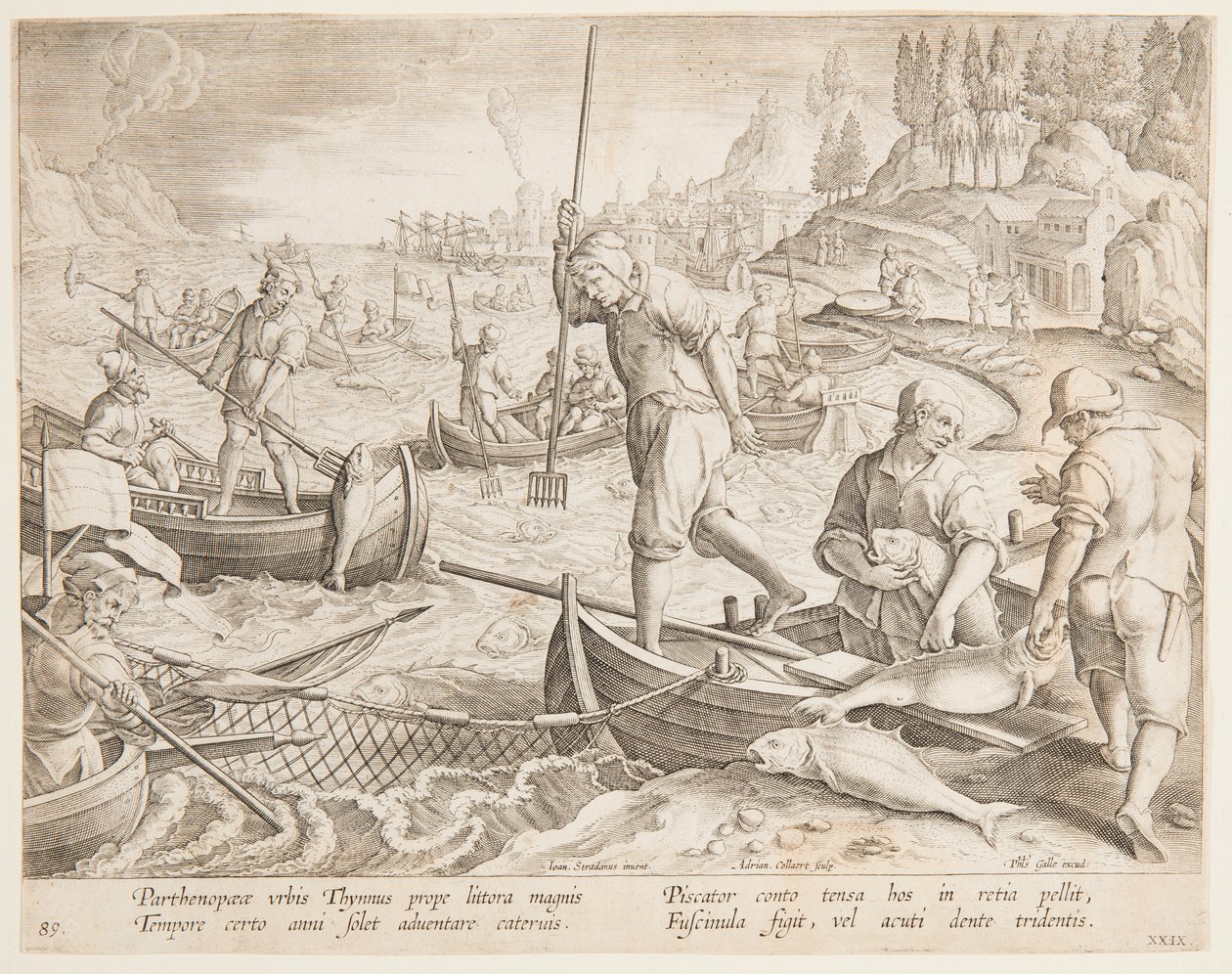 Tonfiskfiske av after Jan van der Straet, called Stradanus