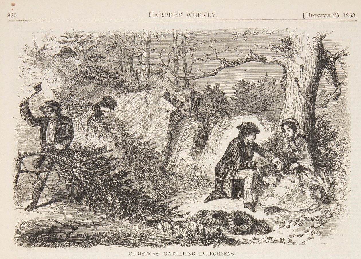 Jul – Att samla Evergreens av after Winslow Homer
