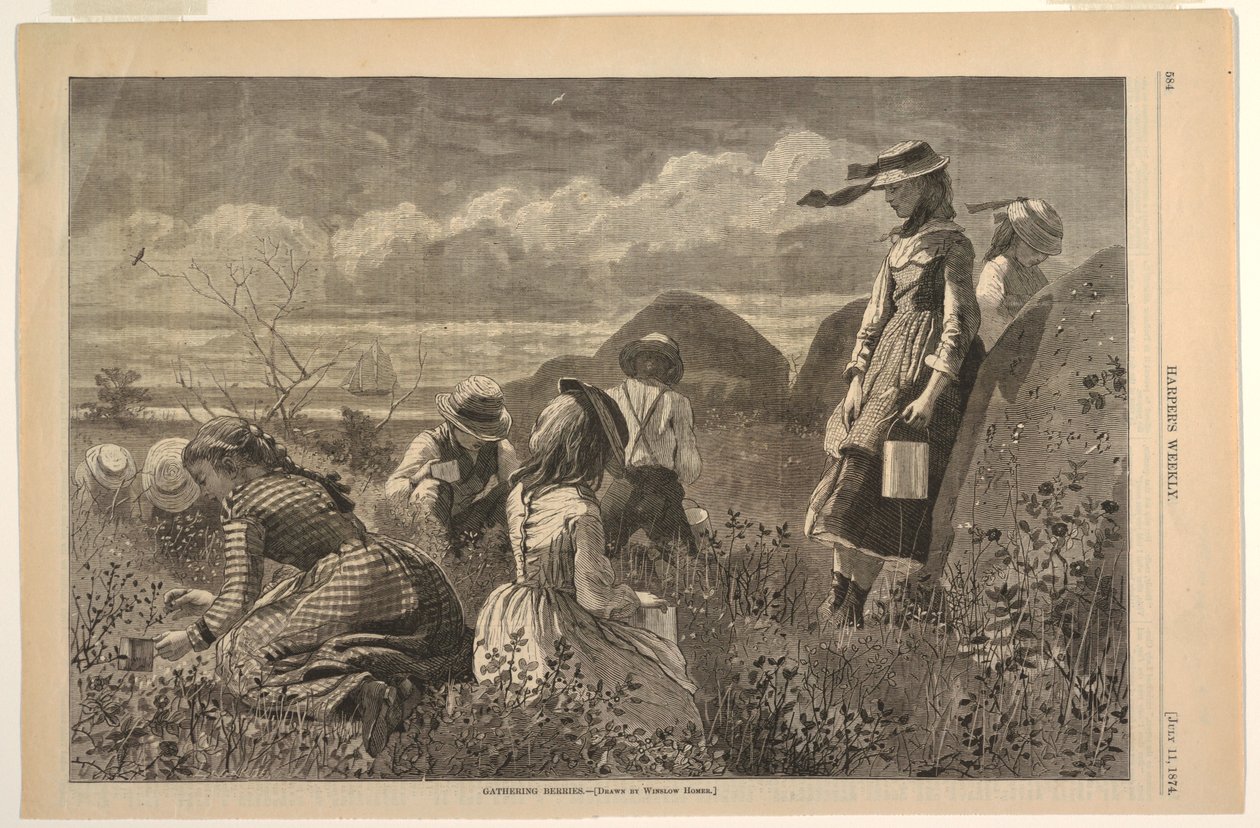 Samla bär av after Winslow Homer