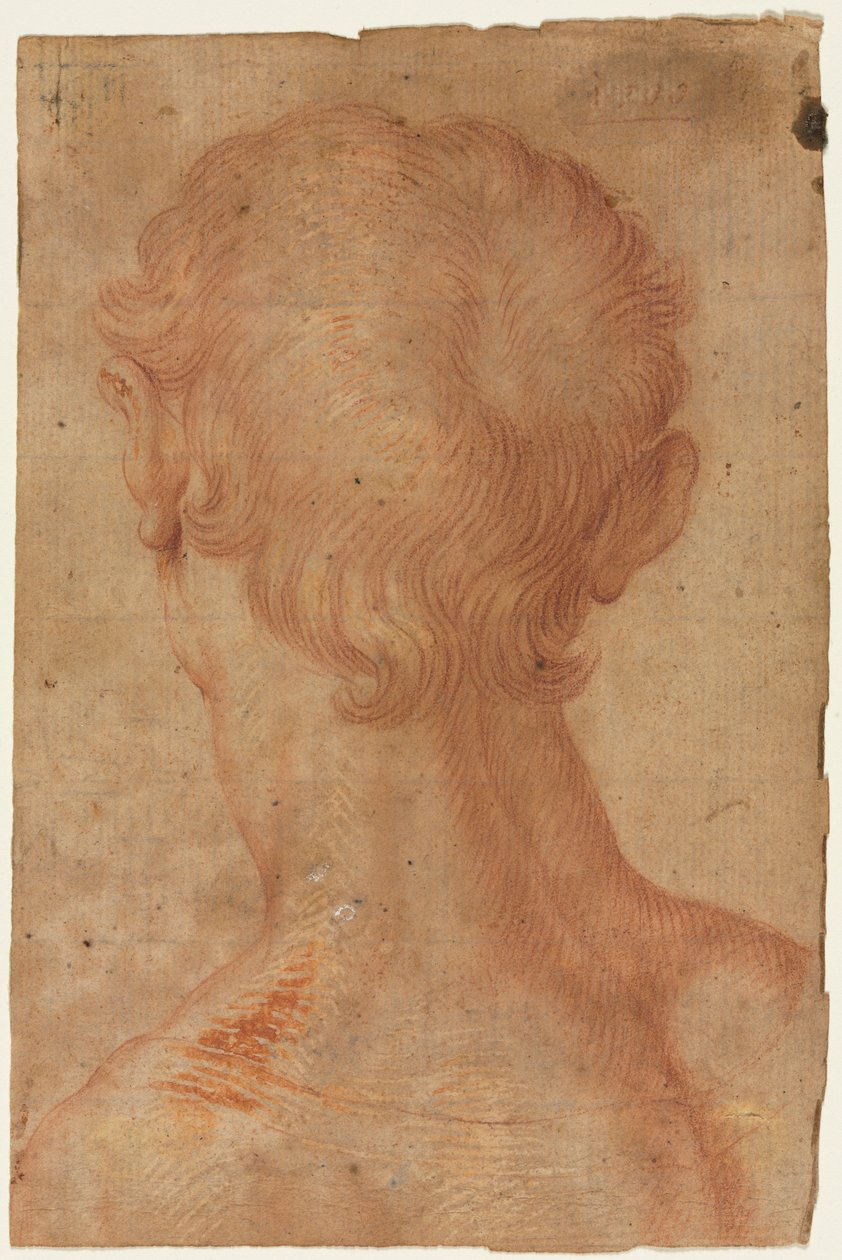 Mans huvud bakifrån av copy after Agnolo Bronzino
