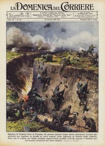 Blackshirt-företag i Ukraina