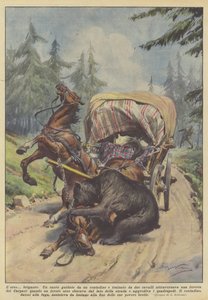 Björnen? brigand