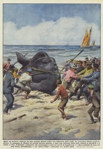 Nästan ett monster!