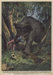 En tragedi i den afrikanska djungeln