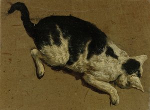 Katt från ovan (penselteckning)