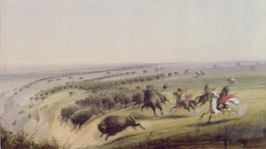 Jakt på buffel, 1837