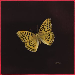 Silvertvättad fritillary fjäril, 2000