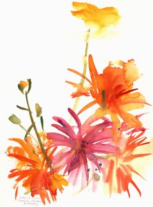 Ringblommor och andra blommor, 2004