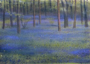 Bluebell Wood (pastell på papper)