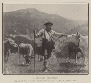 En Brescian Herdsman