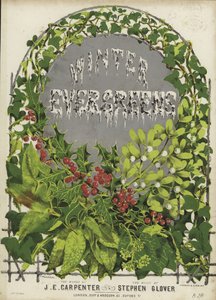 Omslag till Winter Evergreens