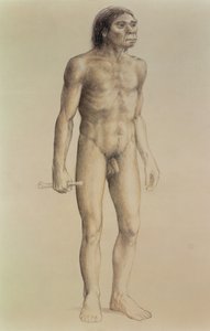 Homo erectus (penna på papper)