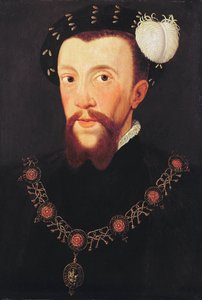 Porträtt av Henry Howard, 1546