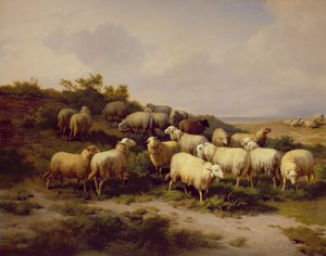 Får vid kusten, 1878