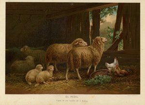 Flocken