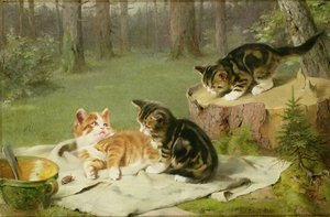 Kattungar som leker