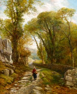En skogsvandring, 1872