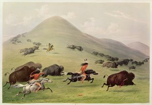 Bøffeljagten, ca. 1832 swed