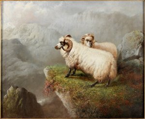 Får på en klippkant, ca 1865-68
