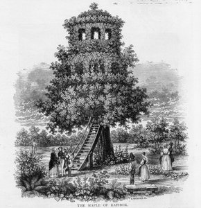 Lönnen av Ratibor, Schlesien, 1893