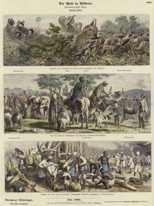 Världen i bilder: Tyska Afrika