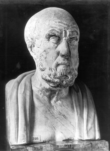 Byst av Hippokrates (ca 460-377 f.Kr.) (marmor)