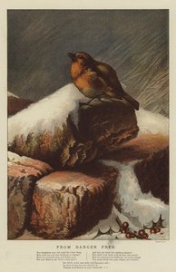 Från Danger Free (chromolitho)