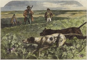 Den första september