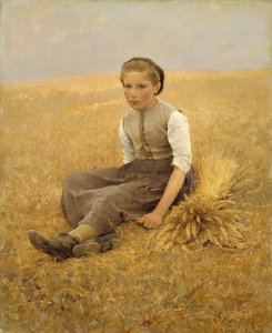 Den lilla plockaren, 1884