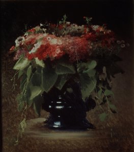 Bukett. Phloxes, 1884