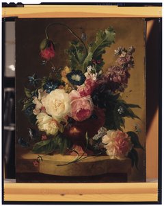 Blomma stilleben