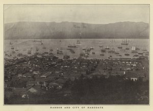 Hamnen och staden Hakodate