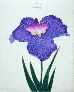 Al-Al-Gasa, nr 19, 1898