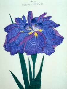 Vi ses. -Gamla tider. 16, 1898